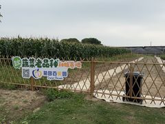 -菊园百果园
