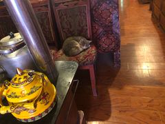 -嘎咓讓咘藏餐厅(团结新村店)