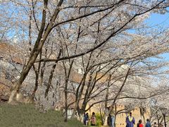 -浙江大学(玉泉校区)