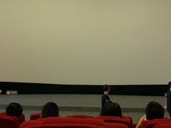 -保利国际影城(保利文化广场店)