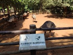 -海南热带野生动植物园
