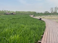 -永定河休闲森林公园