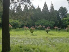 -西北农林科技大学(北校区)