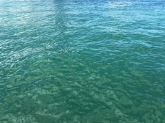 -香港回归祖国纪念碑