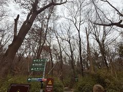 -紫金山天文台