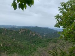 -大岭沟猕猴桃谷风景区