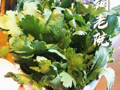 -古铜老院铜锅涮肉·清真(双井店)
