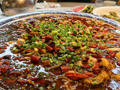 -新概念来凤鱼(璧山店)