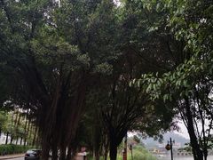 -广州莲花山旅游区