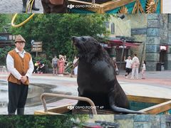 -哈尔滨波塞冬海底世界
