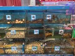 -范饭椰林川湘味海鲜·椰子鸡(三亚湾椰梦长廊店)