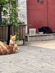 -人民大会堂宴会厅