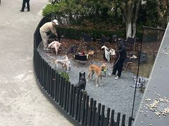 -J Create城市露营咖啡·简餐·宠物(上海动物园店)