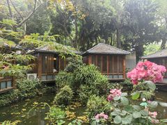 -大妙火锅·非物质文化遗产(东湖公园店)