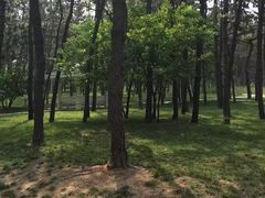 -林海公园