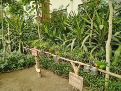 -南宫五洲植物乐园