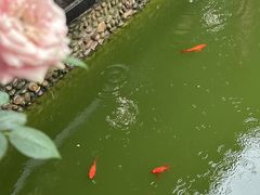 -乖乖佳花园山庄·私房菜(阿哈湖公园店)