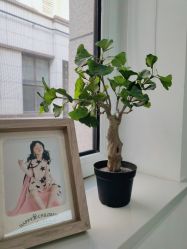 -INKIDS潮童社儿童摄影(朝阳大悦城店)