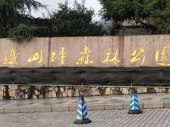 -铁山坪森林公园