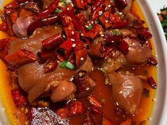 香辣美容蹄-胡大饭馆 24h(簋街总店)