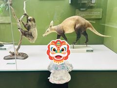 -国家自然博物馆