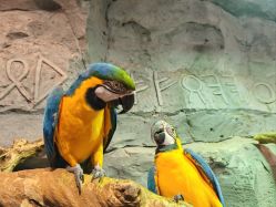 -Zoolung Zoolung动物主题公园(海信广场店)