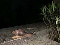 -江门恒大泉都