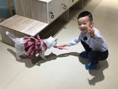 -藏猫猫咖啡主题馆(中央大道店)