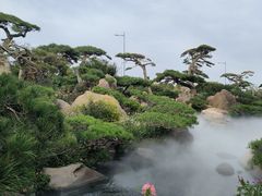 -罗红摄影艺术馆