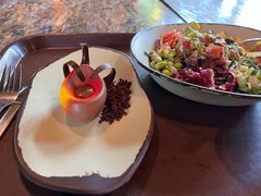 -奥兰多迪士尼动物王国乐园