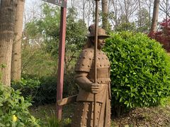 -合肥滨湖国家森林公园