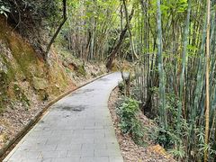 -羚羊峡古栈道森林公园