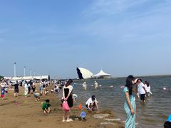 -碧海金沙