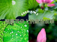 -黄兴公园