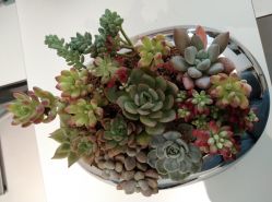 -颜蕾医美·黄金微针·水光·玻尿酸·超声炮·抗衰中心