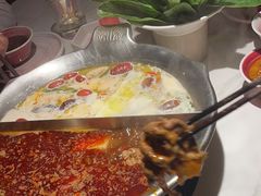 -九鼎轩脆毛肚火锅(三钢里店)