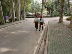 -武汉大学-樱园