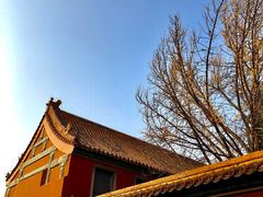 -故宫博物院(故宫)