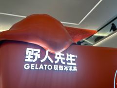 -野人先生现做冰淇淋(北京王府井东方新天地店)