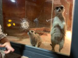 -酷嗒动物文化乐园(cutezoo西溪乐天城店)