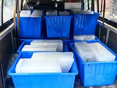 -众彩物流水产市场