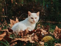 -T80科技文化国际社区-停车场