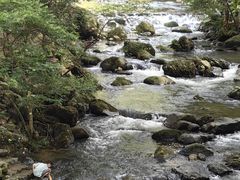 -广州市石门国家森林公园
