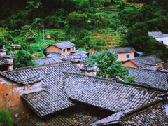 -杨家堂村