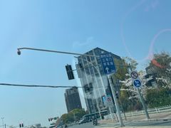 -顾村公园3号门停车场