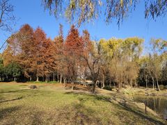 -宝界山林公园