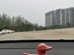 -三圣花乡旅游区