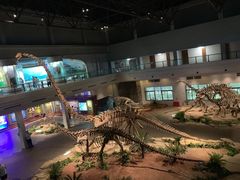 -自贡恐龙博物馆