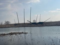 -苏州太湖湖滨国家湿地公园