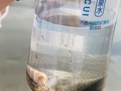 -硇洲岛旅游区
